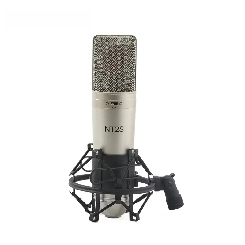 

797Audio ACR01 OEM/ODM Micro Studio Recording Mic,singing,audio And Living Program Speaker Professional Condenser Microphone