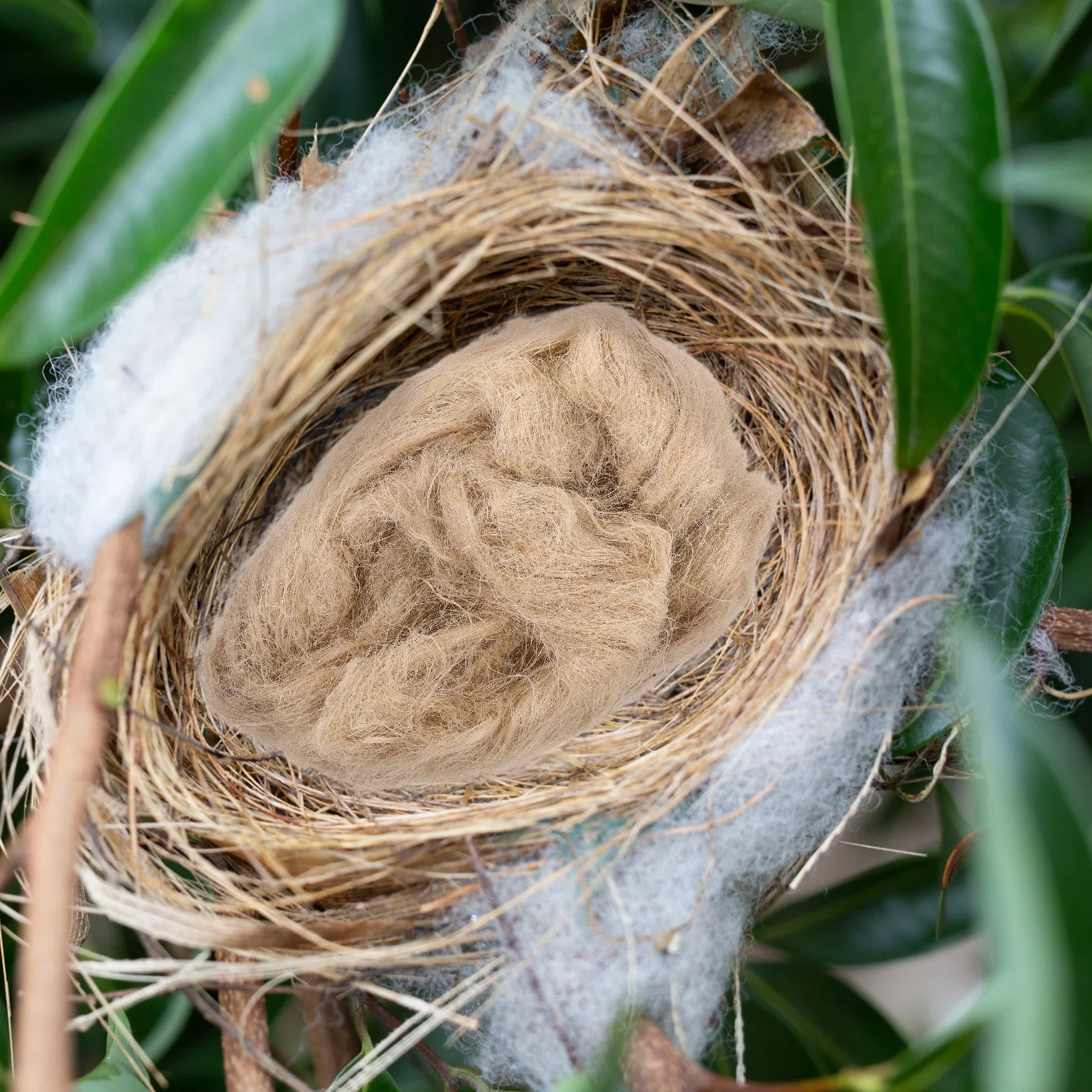 

2pcs Bird Nesting Material Natural Hemp Fiber For Canaries Parrots Finches Wild Birds Indoor Outdoor Nest Building Pure Liners
