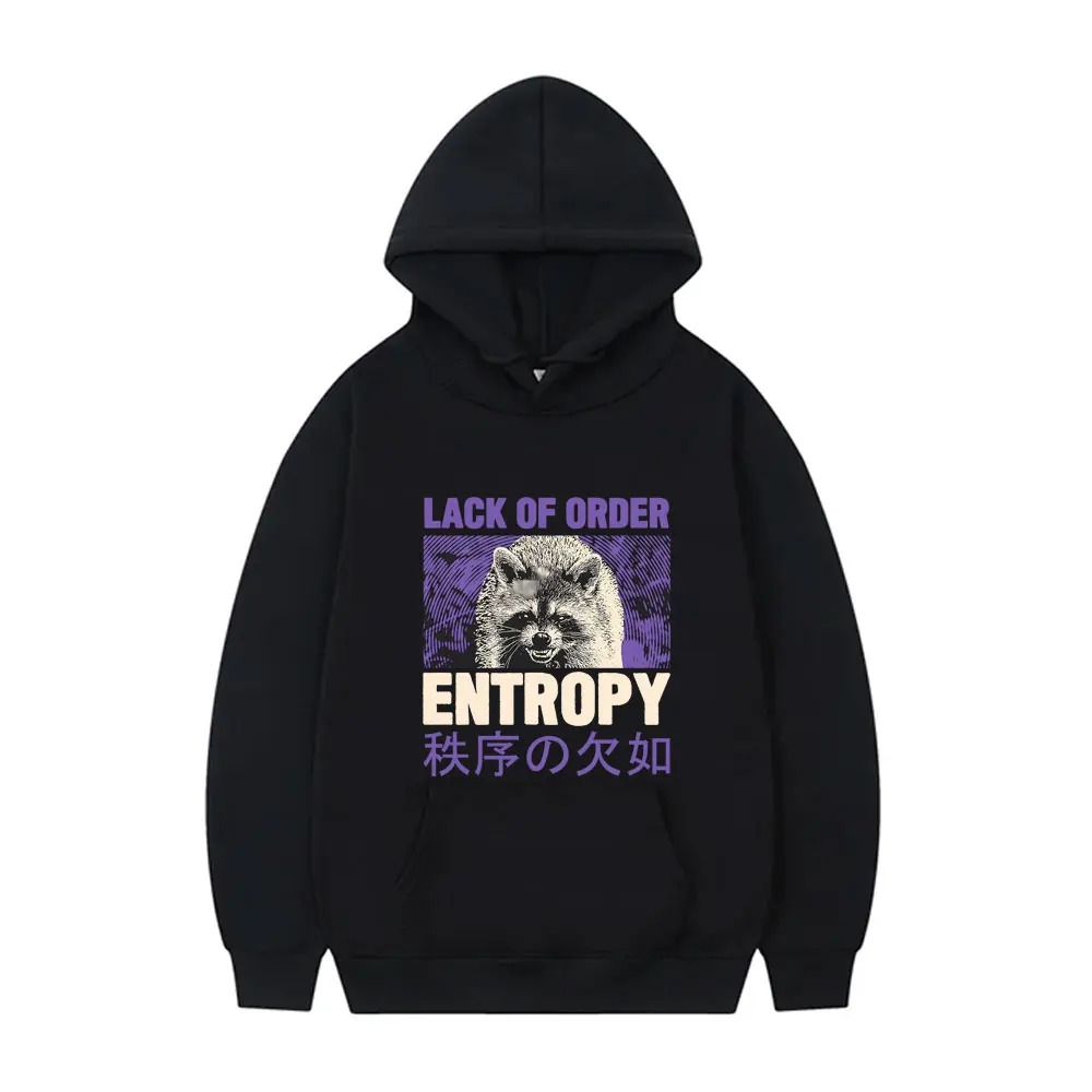 Lack of Order Entropy Hoodie Funny Meme Japanese Raccoon Graphic Sweatshirt Men Women's Casual Fleece Cotton Pullover Hoodies