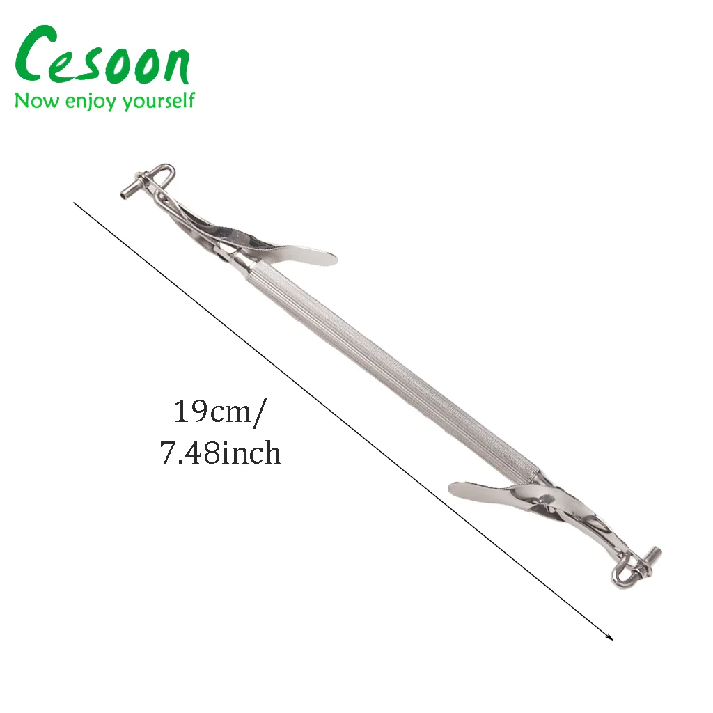 1Pc Dental Silver Amalgam Carrier Amalgam Gun Double End Restorative Amalgam Carrier Syringe Stainless Steel Dentistry Oral Tool