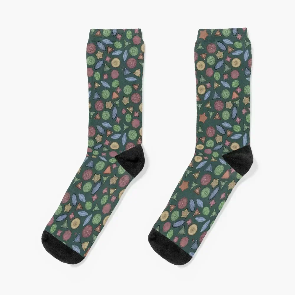 Diatoms - Marine Biology Art Socks sport kawaii Socks Female Men's