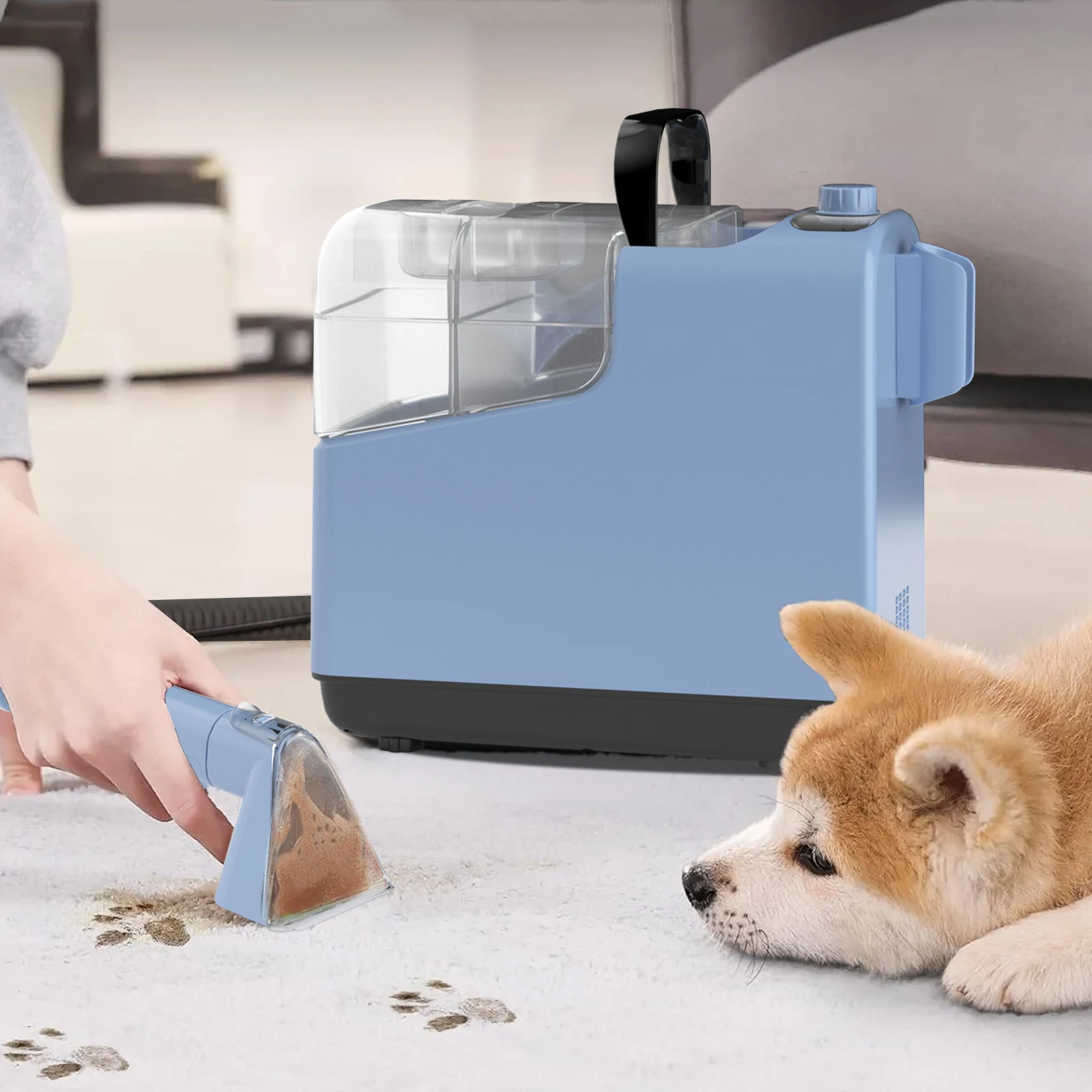 Electric Canister Bagless Wet Hotel & Car Use Dog Hair Solution Powerful Handheld Upholstery Grade Carpet Cleaner Machine
