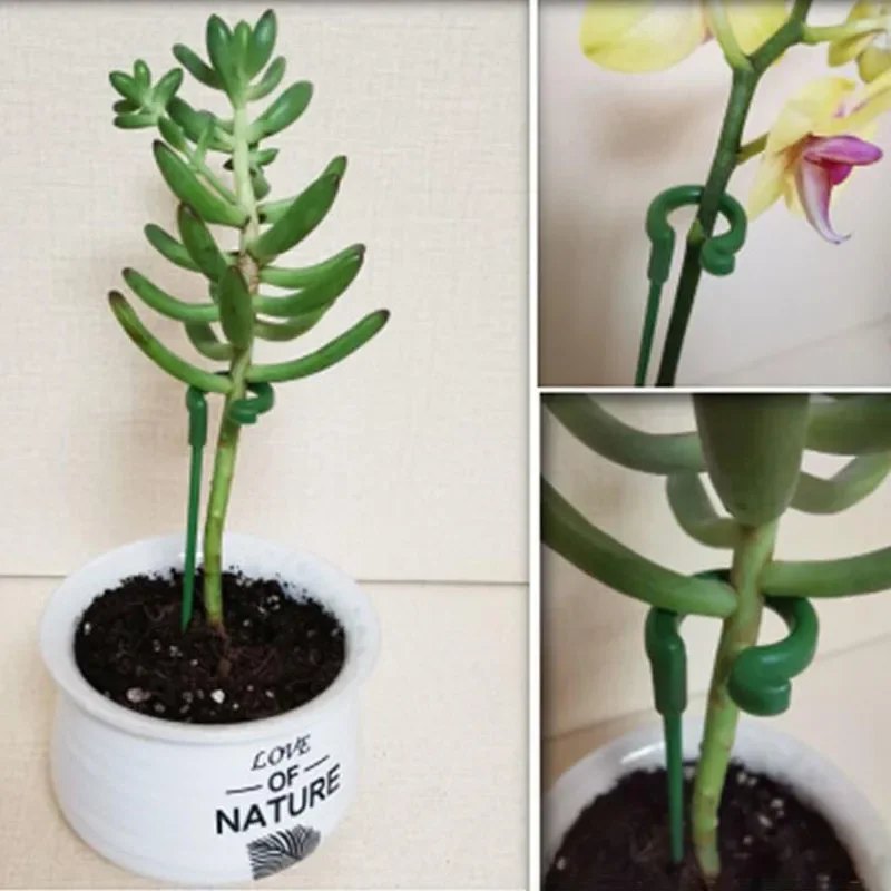 Plant Supports Stakes Flower Stand Sticks Reusable Plant Clips Bonsai Fixing Tool Flower Grow Holder Garden Tools