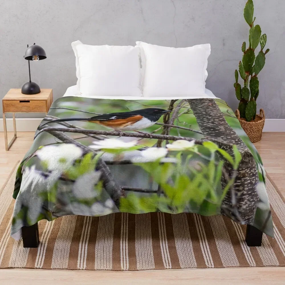 

Eastern Towhee and Dogwood Blooms Throw Blanket Decorative Sofas Decorative Beds Blankets