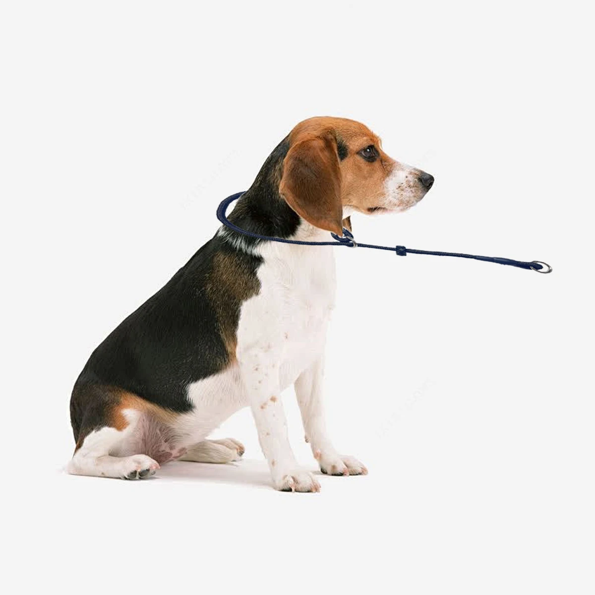 Zugseil-Ausrüstung, Choke-Halsband für Hundetraining, handgefertigt aus Kordel mit Limiter, wasserdichtes Hundetrainingseil-Zubehör – Detail 6