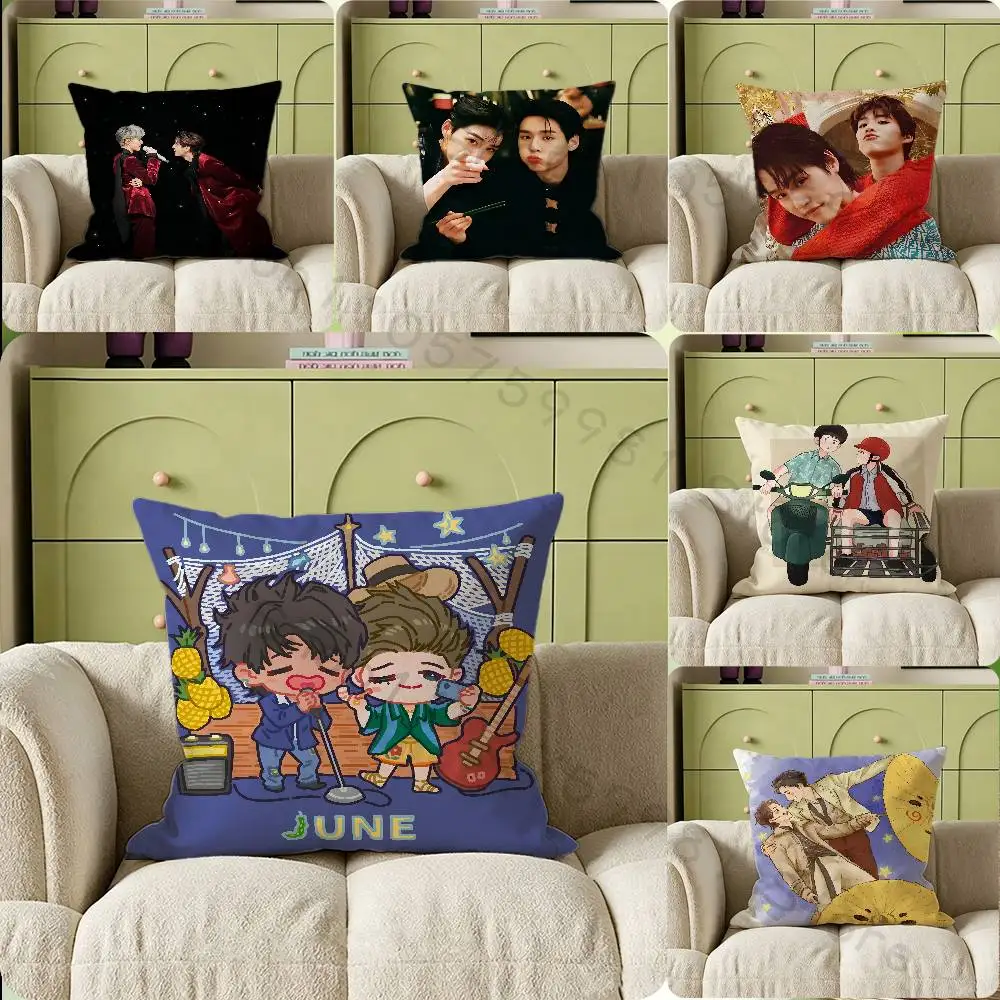 HOT BL BKPP Cartoon Cartoon Printing Pillowcase Customized Pillow Cover for Sofa Home Decor