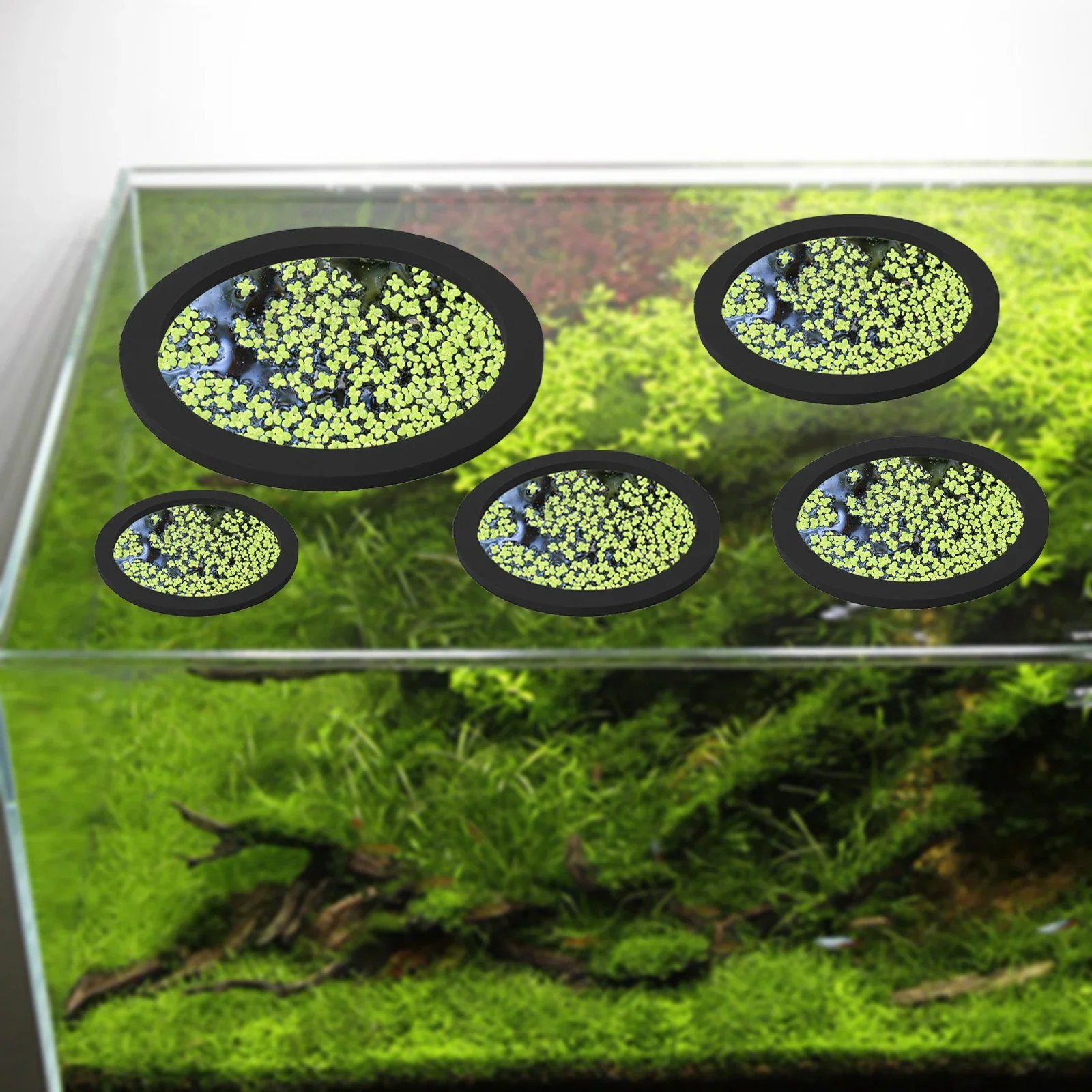 5Pcs EVA Fish Feeding Ring Aquarium Floating Plant Corral Fish Tank Float Plant Barrier for Aquarium Pond Accessorie Plant Rings
