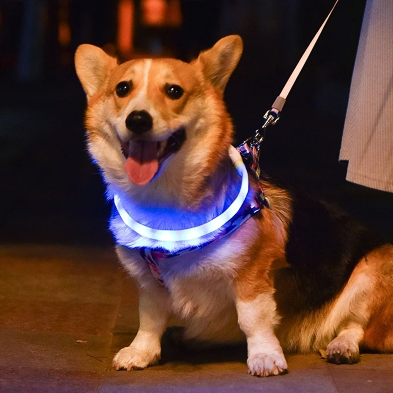 Night Safe Pet LED Light ซิลิโคนแบบชาร์จไฟได้สำหรับปลอกคอสุนัขพร้อมไฟ