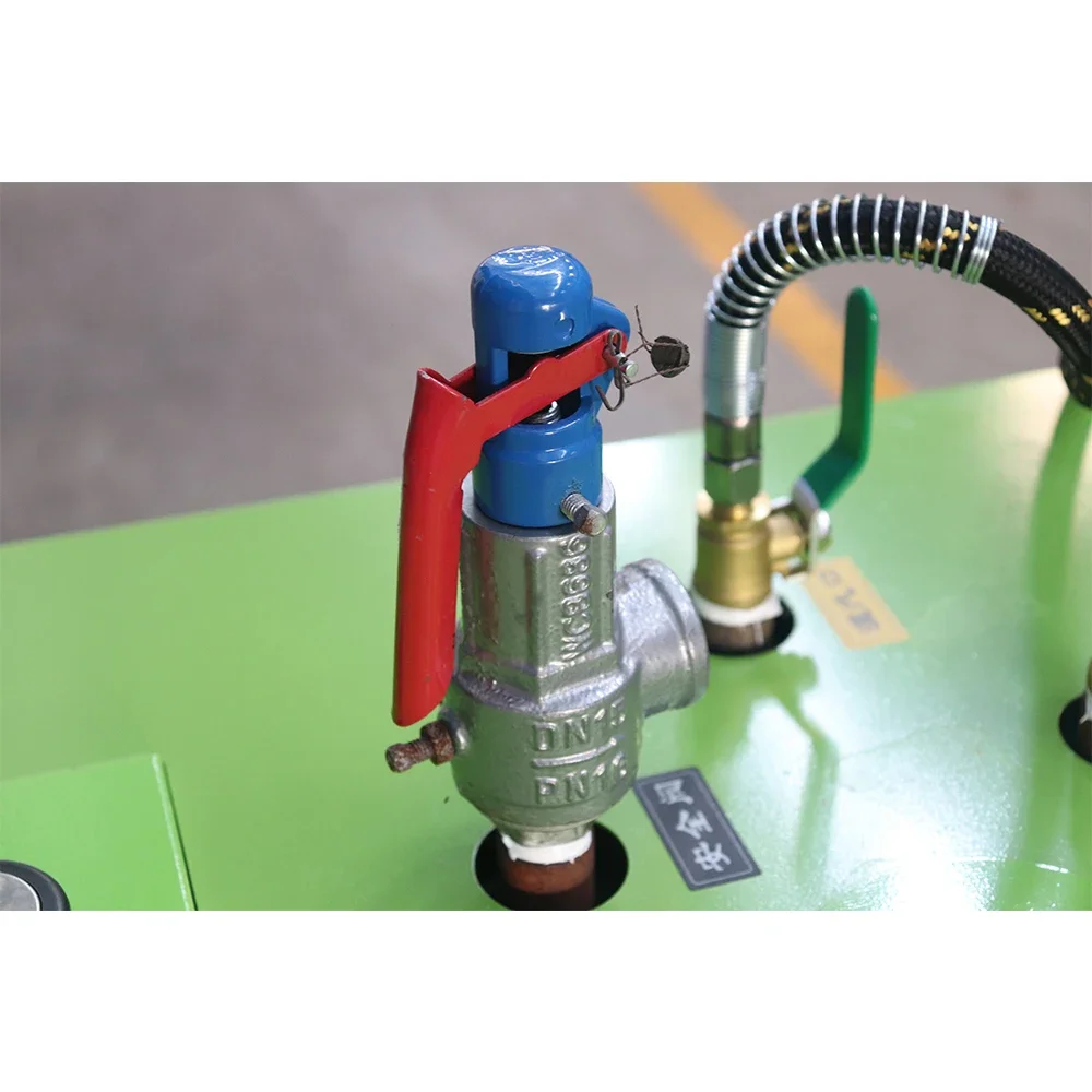 exquisite craftsmanship sofa carpet cleaning domestic steam car wash machine 2 guns car washer with steam cleaner kit