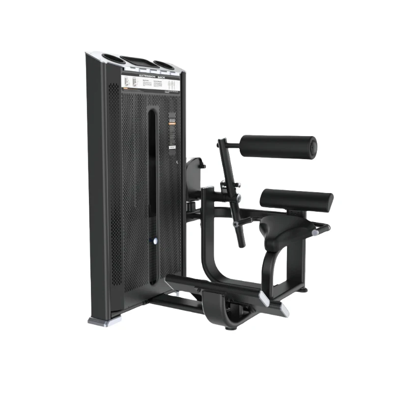 

Professional Steel Fitness Equipment Back Stretching Training Machine, with Pin Weight Selection11