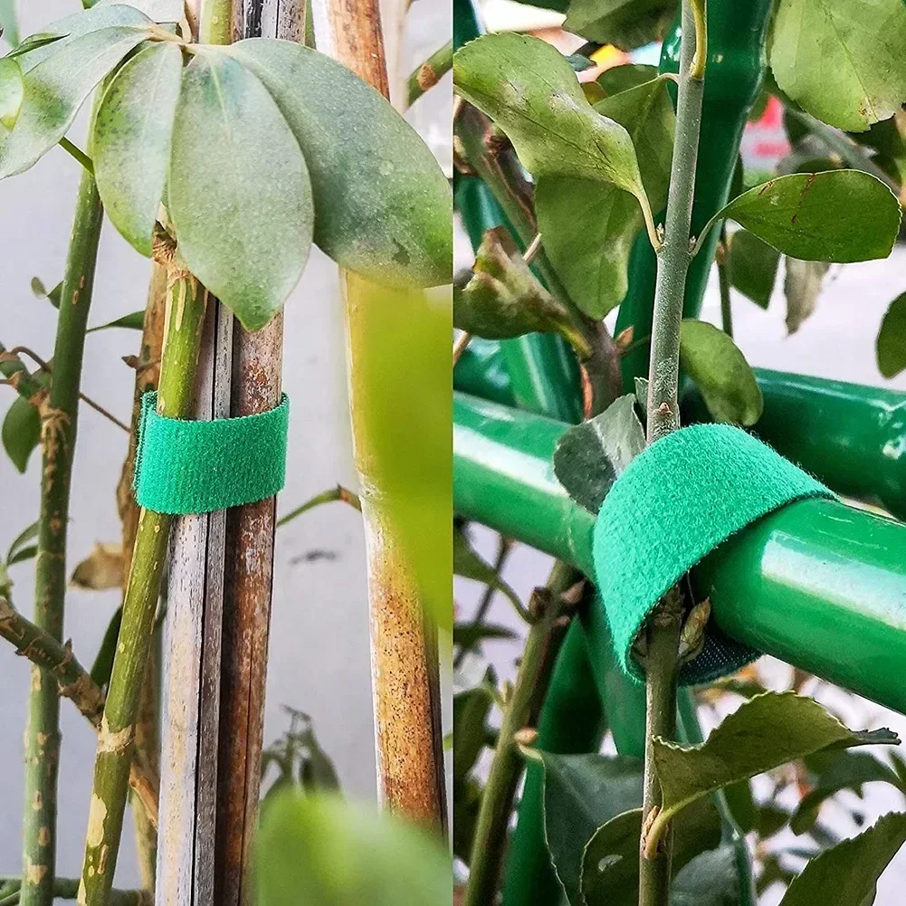 3 Rolls Green Garden Plant Ties Nylon Plant Bandage Hook Loop Bamboo Cane Wrap Support Garden Accessories Tape Cable Organizer