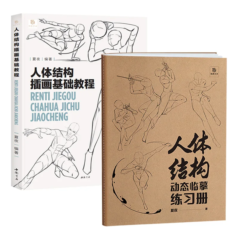 

Динамическое моделирование тела, техника ручного рисования, практика рисования фигур, во время обучения, базовый учебник по структуре человеческого тела