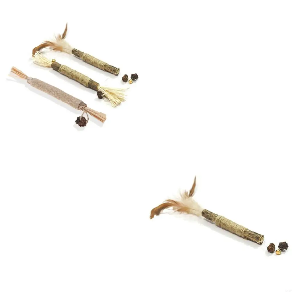 

X4YE Natural Silvervine Sticks for Cat Chew for Indoor Cats Kittens Teething Silvervine Fruit for All Cats