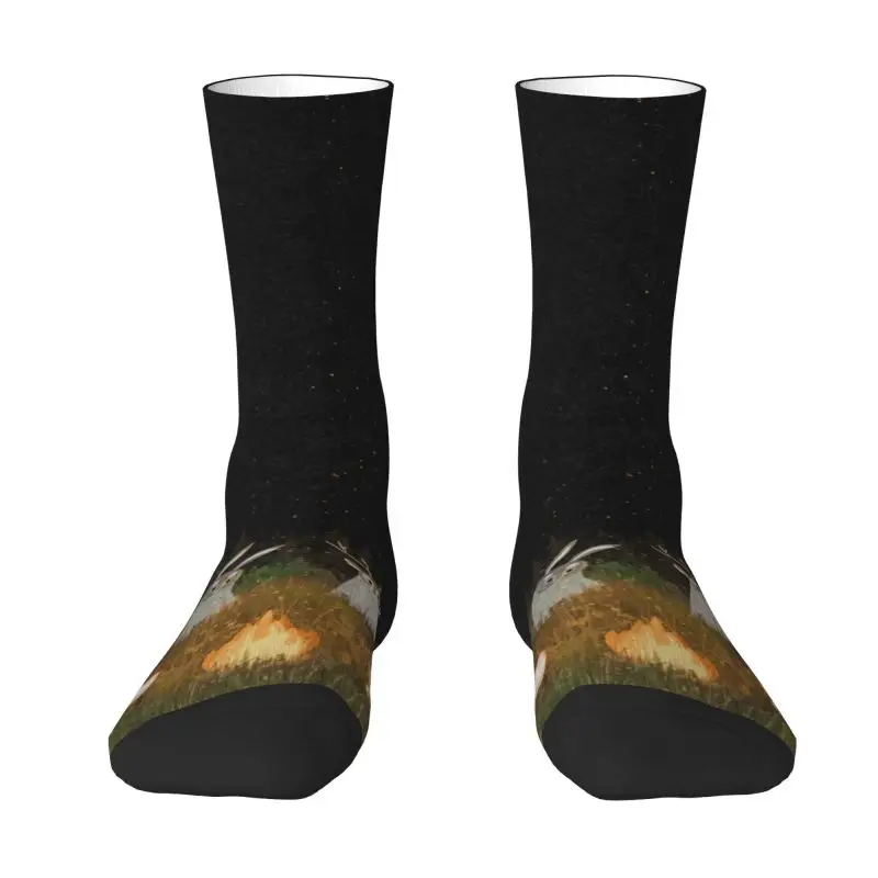 

Маскарадные носки с кавайным принтом и призраком для женщин и мужчин, эластичные носки для лета, осени и зимы на Хэллоуин, ужасы