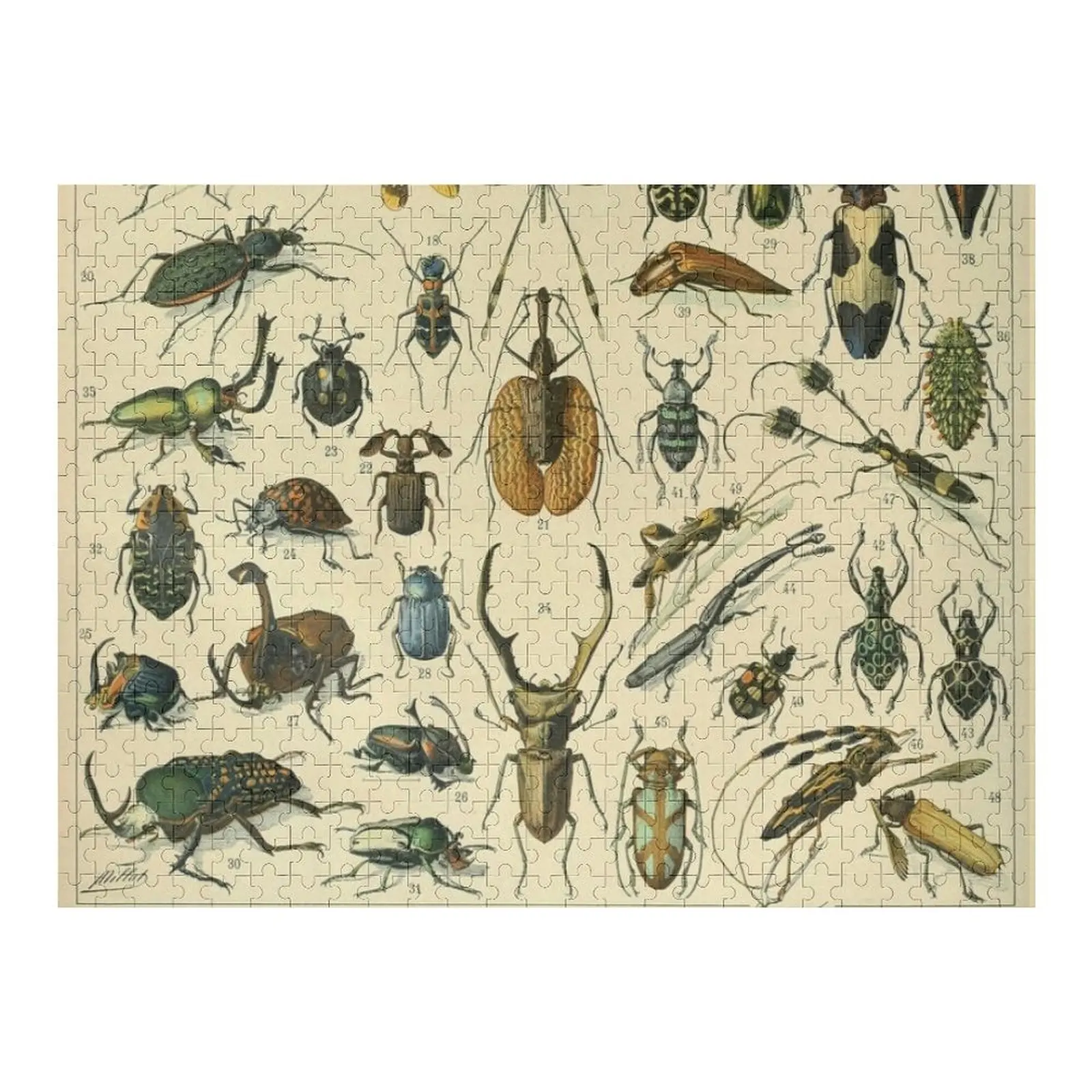 

Adolphe Millot Insectes A Jigsaw Puzzle Custom With Photo Children Customizable Gift Puzzle