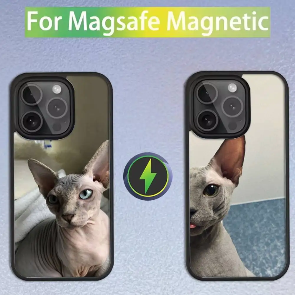 

Animal Sphynx Hairless cat Phone Case For iPhone 16,15,14,13,12,11,Pro,Max,Plus,Mini,SE Magsafe Magnetic Wireless Charging