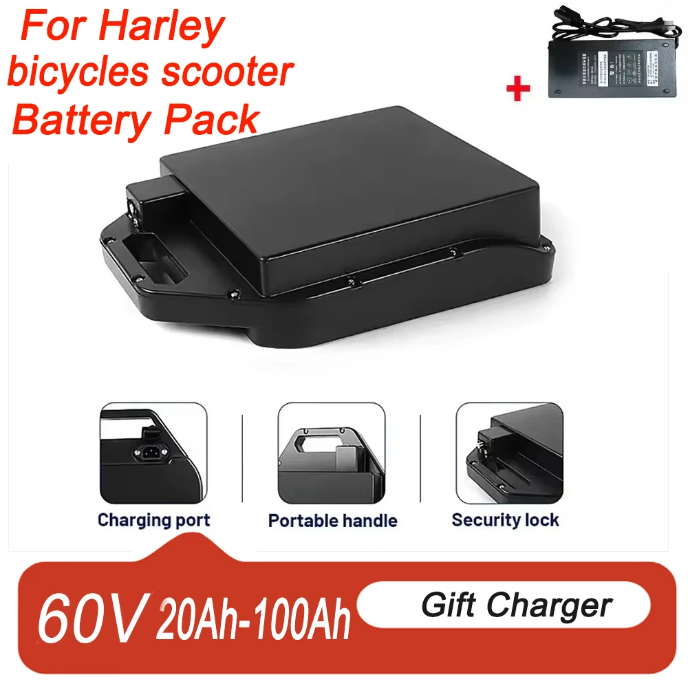 항공 화물, 60V 20Ah-100Ah, 최대 용량 18650 리튬 배터리 팩, 250W~3000W에 적합, 할리 전기차용