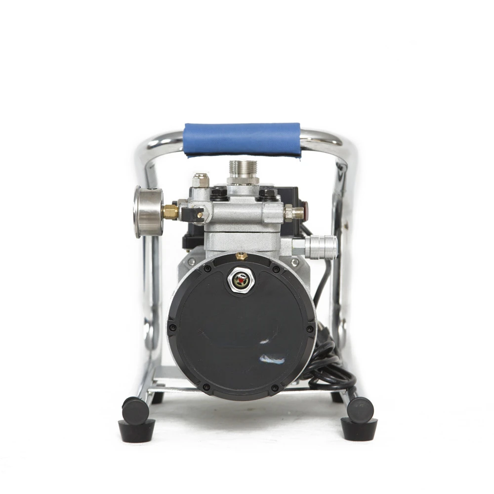 Professional Electric Diaphragm Pump Airless Paint Sprayer