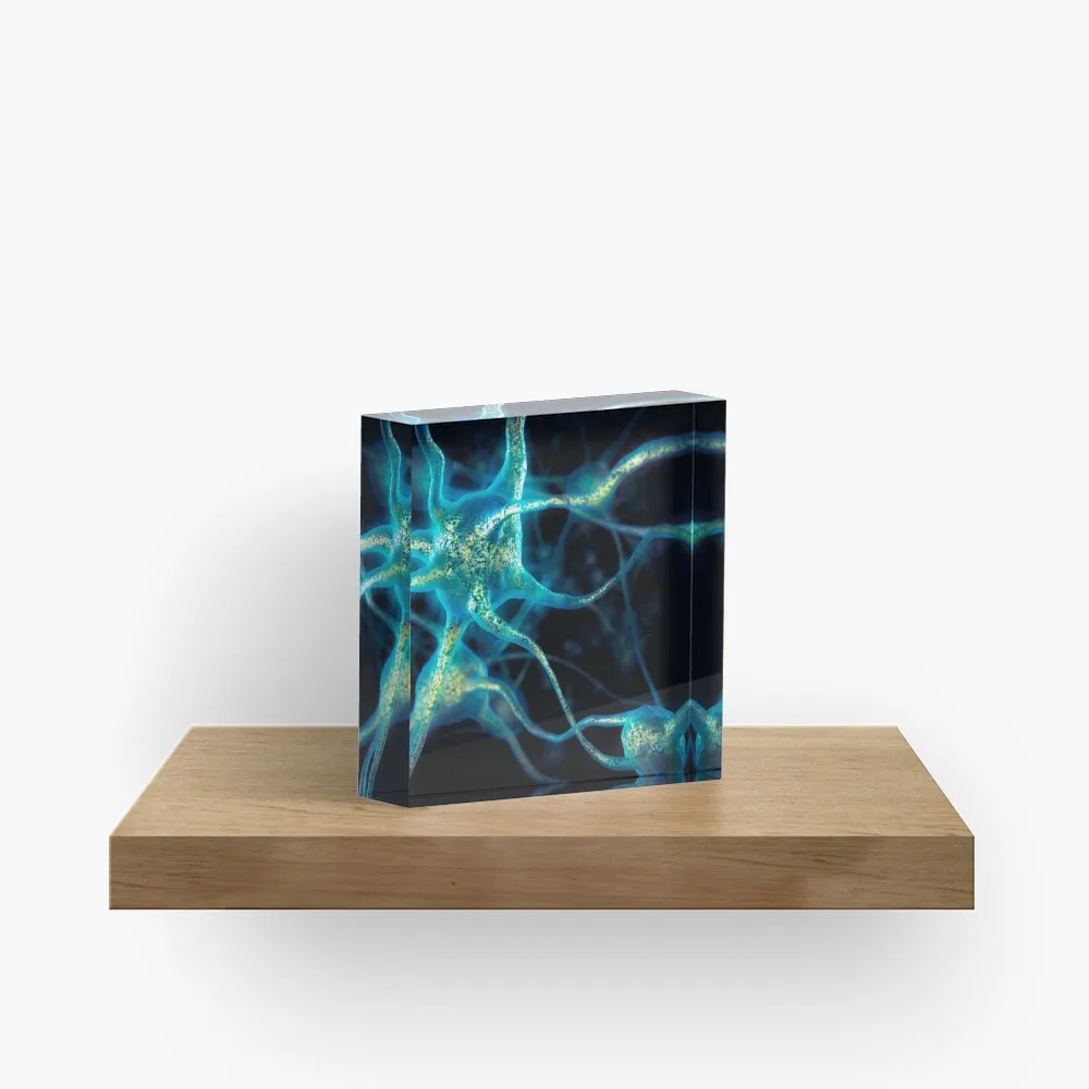 Neuron Network Brain Cells Art Photo Pri  Acrylic Block Art Cute Bedroom Photos Decoration Process Pad Funny Home Family Board