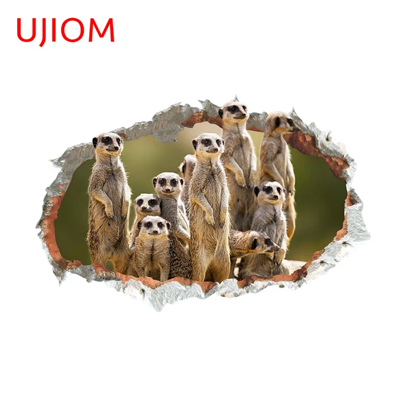 UJIOM 13cm X 8.5cm Cartoon Crack Cute Meerkat Tear Wall Stickers Chibi Living Room Decal Rupture Baby Nursery Room Wallpapers