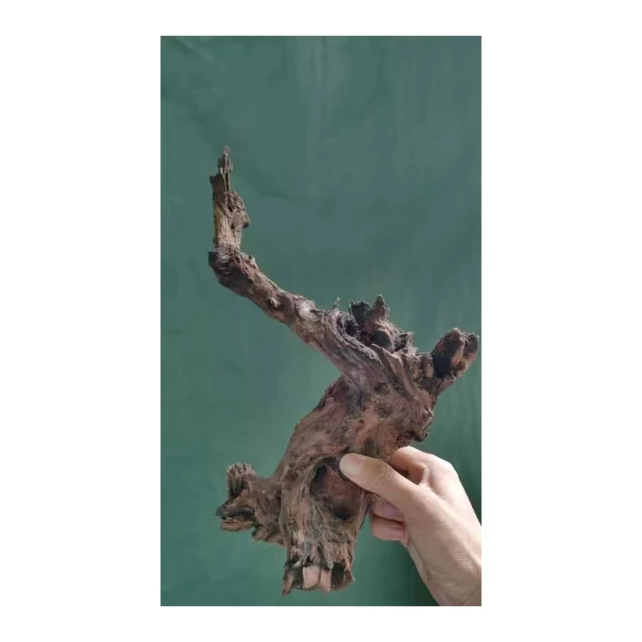 

Wholesale Custom Glass Tank Wooden Box Aquarium Driftwood Decorative Animal Feeding Tanks