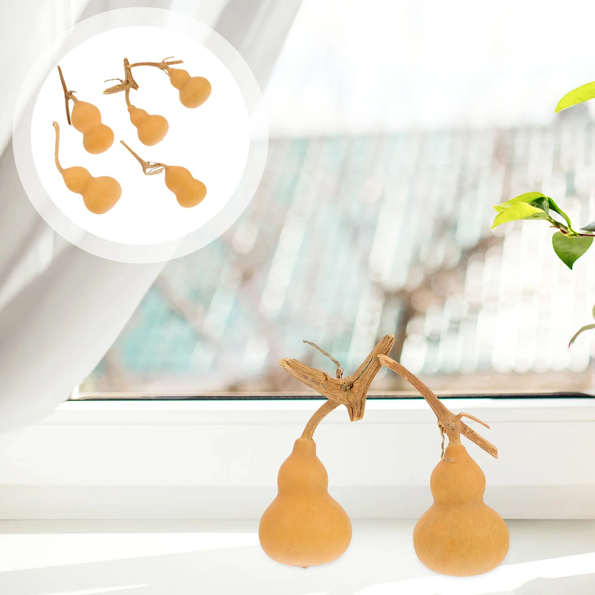 

10 Pcs Crafts Mini Gourd Calabash Ornament Desktop Natural Gourds Adorn Khaki Decorative