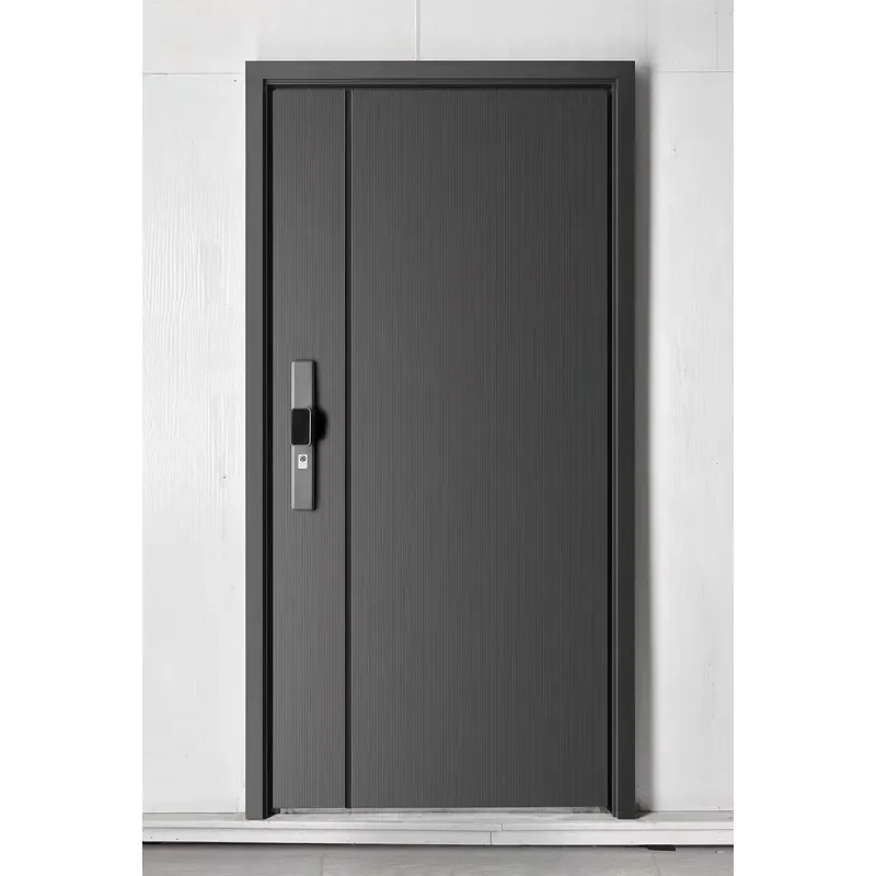 Modern Minimalist Style Household Steel Security Door