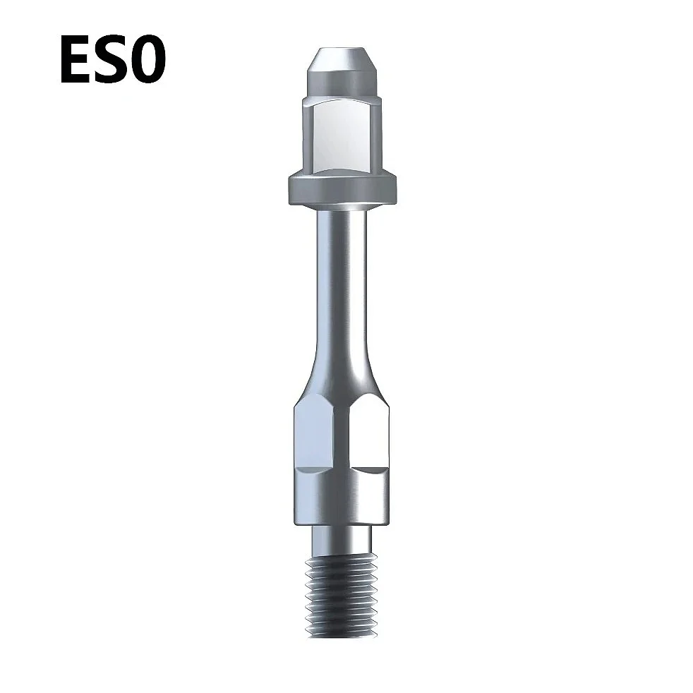 Dentals 1PC Dentals Ultrasonics Scaler Tips For Handpiece Multifunction Endo Perio Scaling