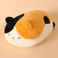 hua