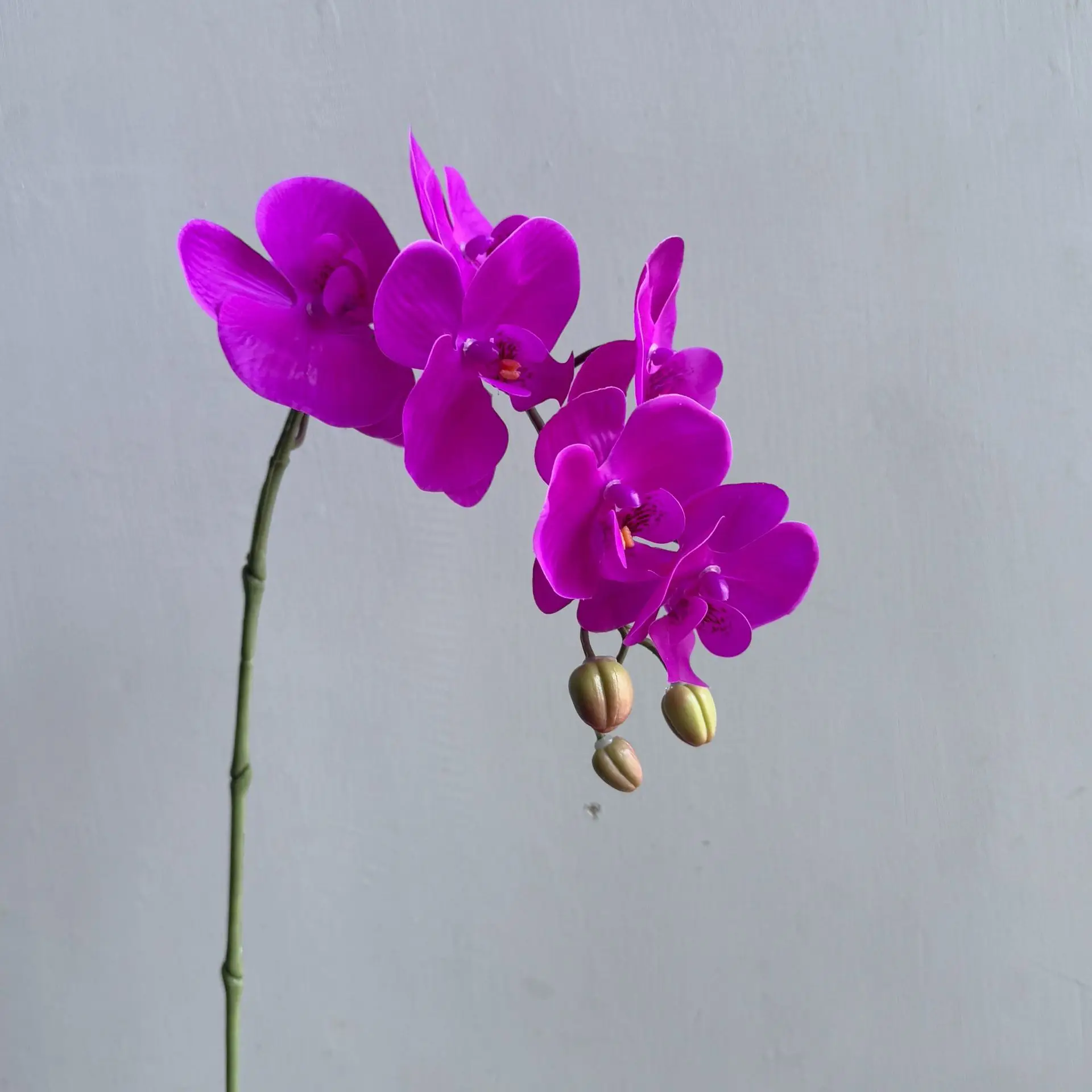 

4Pc Artificial 7Head Latex Butterfly Orchids Real Touch Flowers Wedding Decor Fake Phalaenopsis Home Room Decoration Party Flore