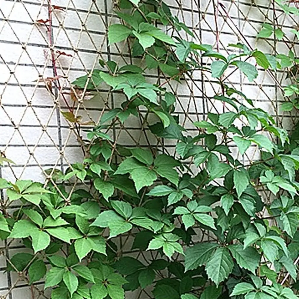 Protect Plants and Fruit Climbing Plant Support Net Best Stretch Fence Climbing Net Anti Bird Netting Reusable