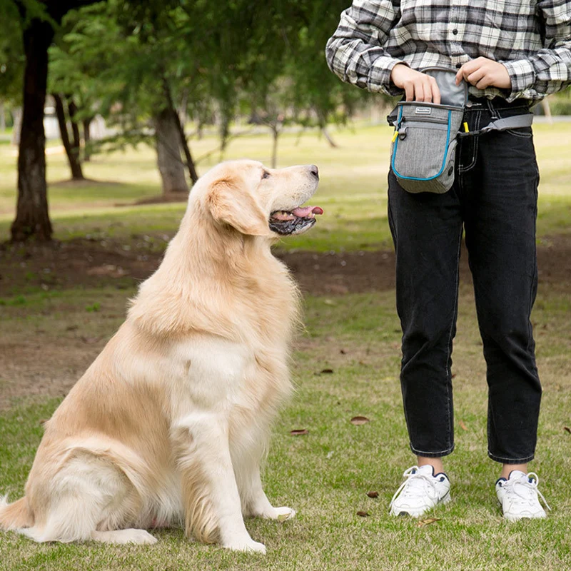 Dog Treat Pouch Puppy Treat Snack Bag Outdoor Reflective Pet Treat Bag with Adjustable Waist Belt for Training Traveling Walking