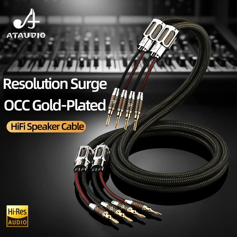 HiFi Speaker Cable Hi-end OCC Gold-plated Audio Line with Gold Plated Banana Plug and Free 8 PCS Y Plug Amplifier Speakers Cable
