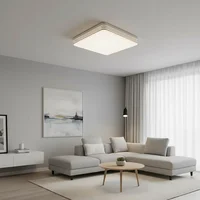 18W-48W LED Ceiling Light 15-30CM Square Ceiling Panel Light Home Bedroom Kitchen Living Room Lightings Decoration AC 110-220V 2