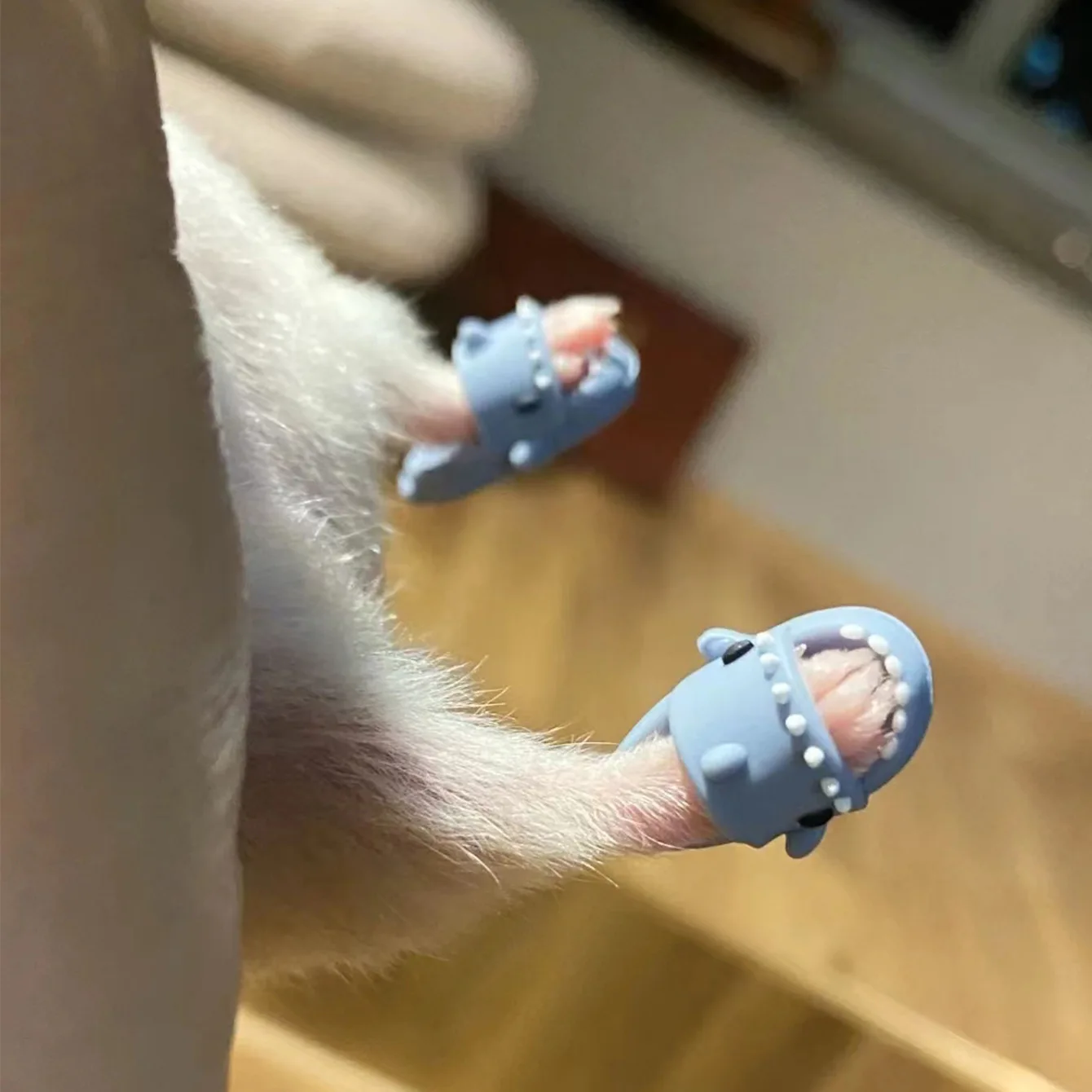 Little Pet Shoes Hamster Shoes Photo Decoration Cute Slippers Little Pet Decoration Shoes Doll Shoes