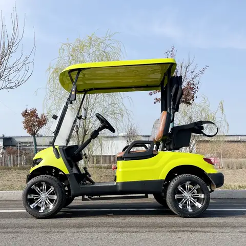 Latest Trends Golf Carts 48V 4KW Motor 2 4 Seater Golf Buggy Cart Electric with Golf Bag Straps and Basket