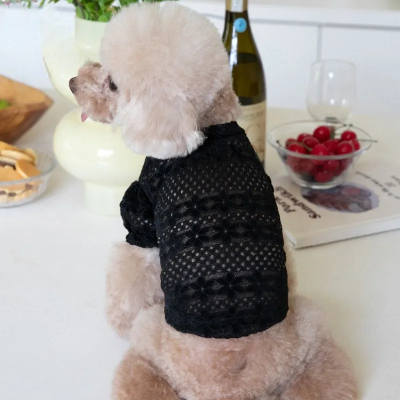 Dog Clothes Lace Winter Lace Lining Pet Dog Clothing For Small Dog Teddy Clothing Designer Dog Clothes Puppy Clothing Dog Shirt