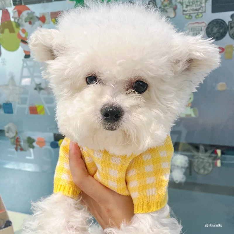 1PC Pet Clothes Cat Autumn/Winter Thickened Pullover Sugar Rabbit Sweater Yellow Suitable for Small and Medium Dogs