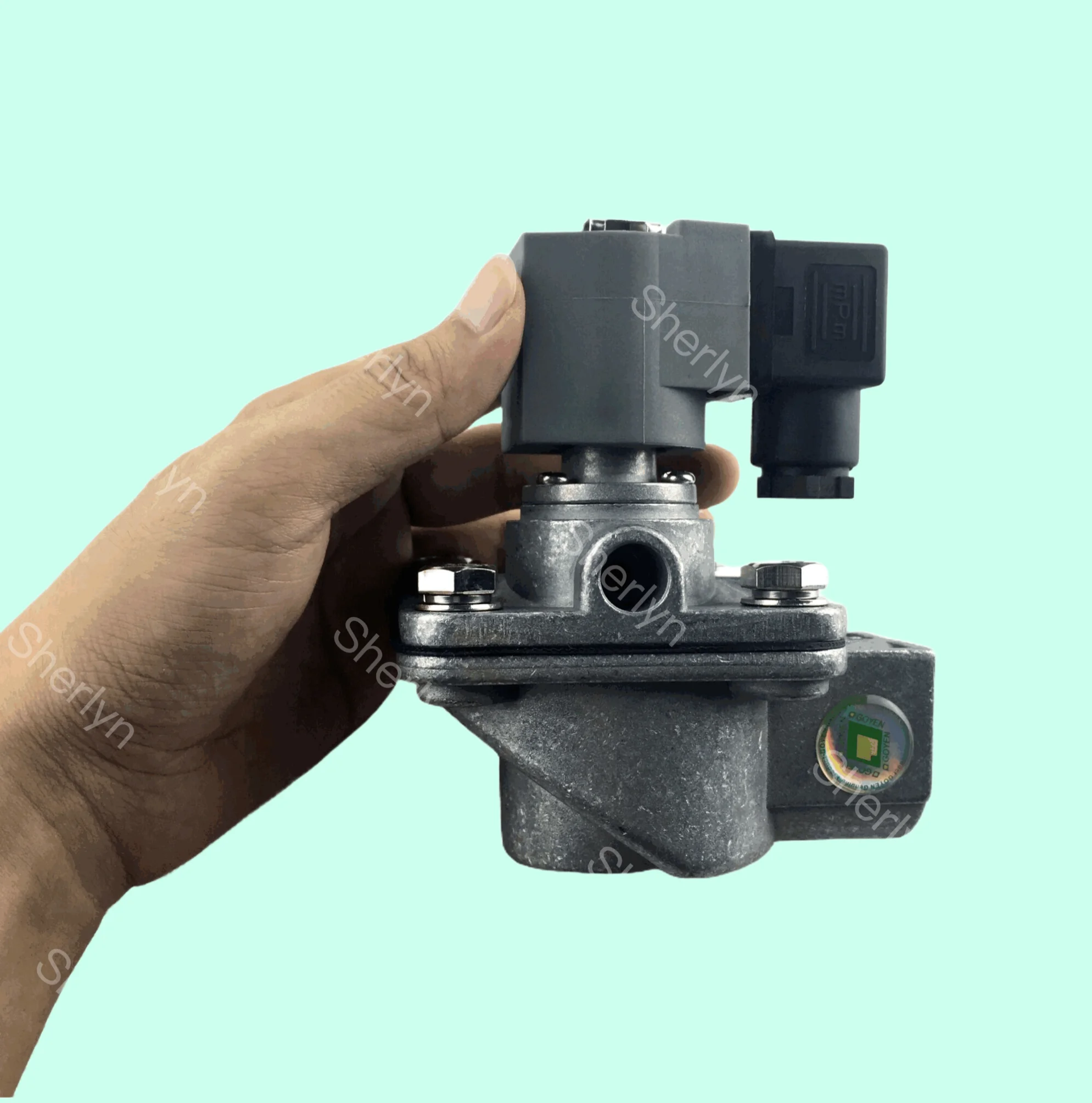 

GOYEN CA25T 1-inch High-Altitude Pulse Valve DC24V Right Angle Type Suitable For Diaphragm K2501 K2503