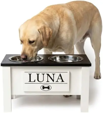 

GTW Elevated Dog Bowl Stand for Large Dogs - Customized Feeding Station with Storage & Stainl Steel Bowls (Large, Black)