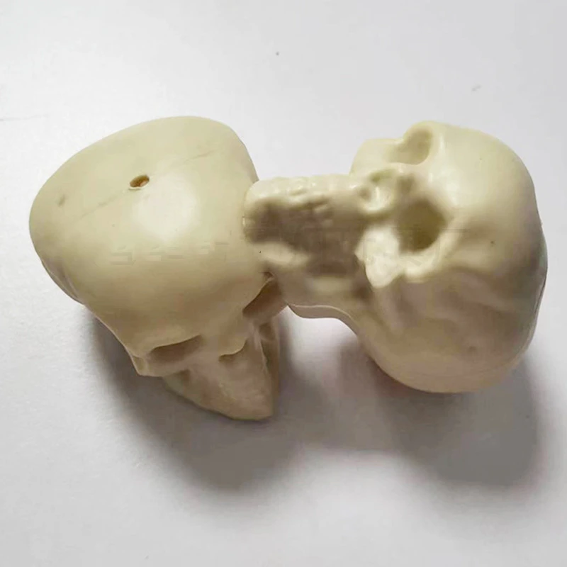 Halloween Decoratie Skelethoofd Rekwisieten