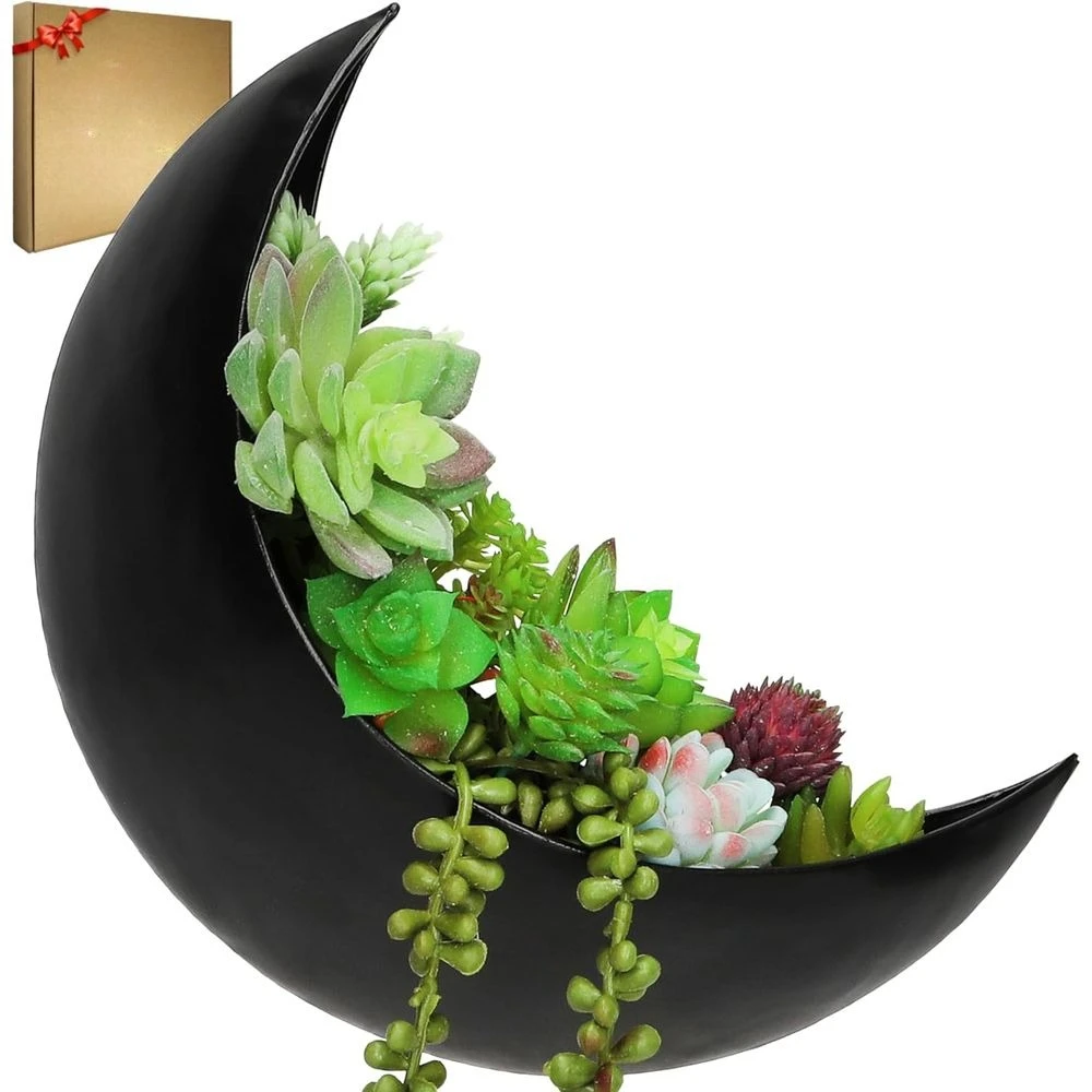 

Подвесные кашпо для комнатных растений: идеально подходят для суккулентов, воздушных растений и кактусов