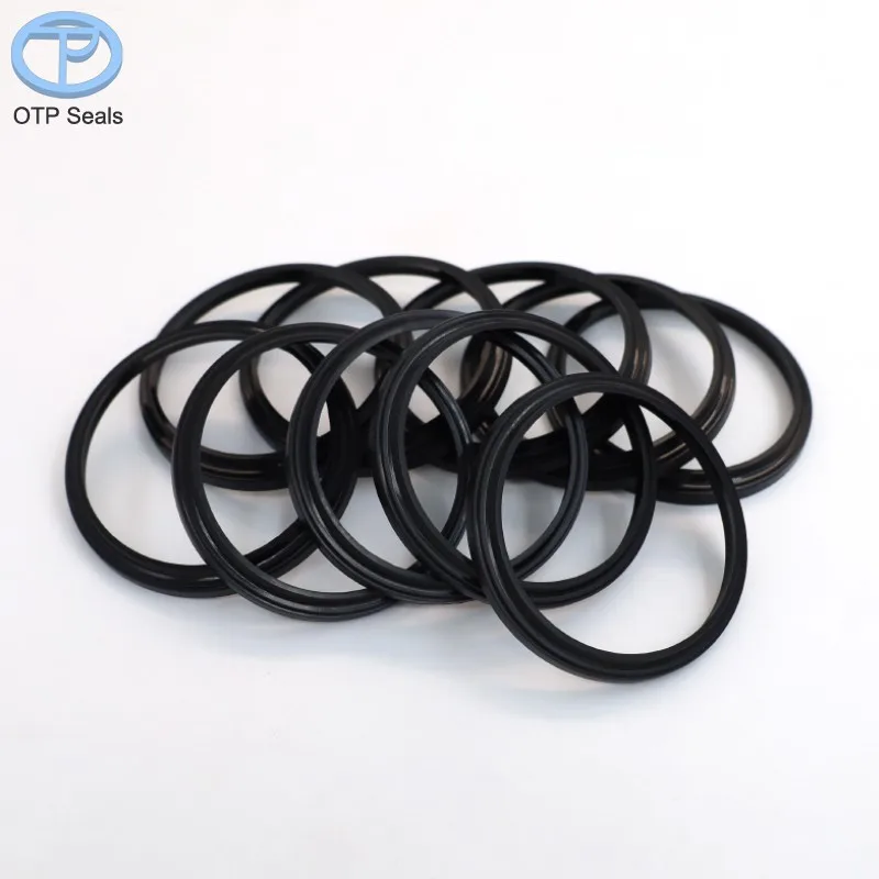 FKM Dust seal High-temperature resistant hydraulic cylinders pneumatic cylinders Black Fluoroelastomer seals factory customized