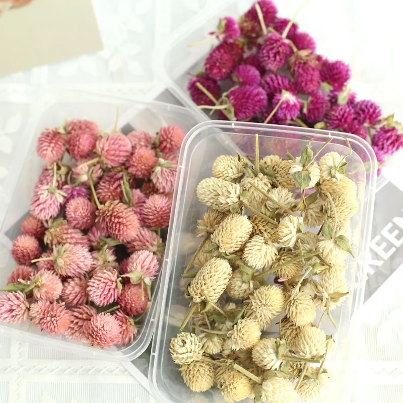 30g seco Gomphrena Globosa DIY vela perfumada rebanada de cera Material de flor Real mezcla decorativa Material de flores flotantes decoración del hogar