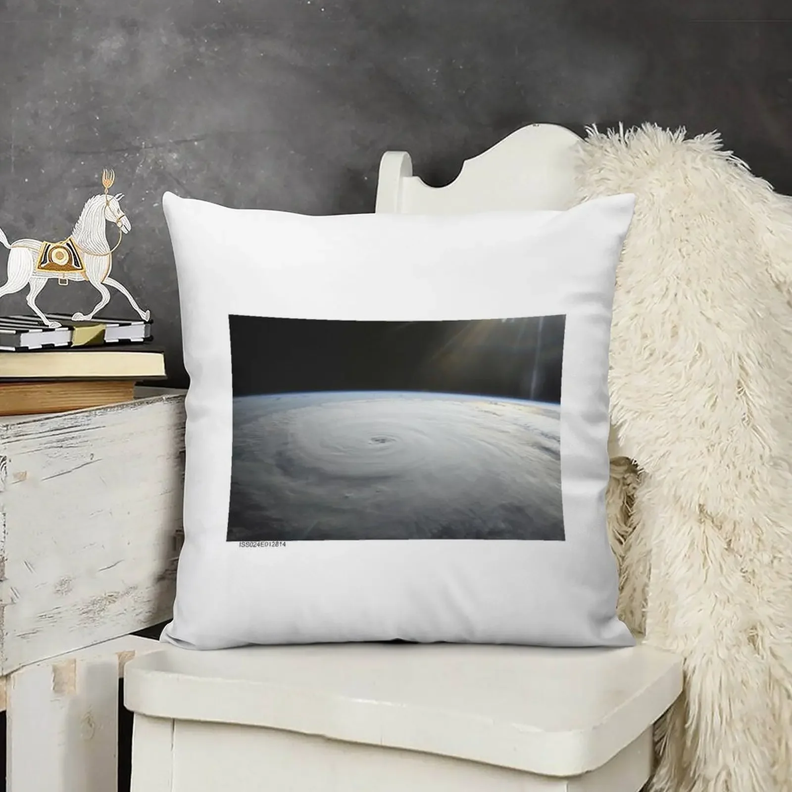

Hurricane Danielle Throw Pillow New year Couch Pillows Throw Pillow Covers Sofa Decorative Covers pillow