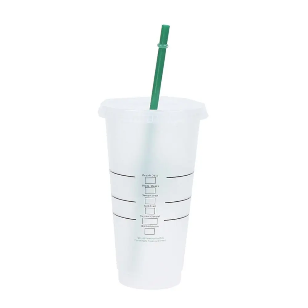 Drinkware Food Grade PP Plastic Change Color Straw Mugs with Lid Matte Straw Cup with Straw 475ml/601-700ml Water Cup Coffee