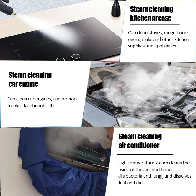 Multi-purpose 30S Fast Heating Max 5bar Pressure High Temperature Steamer Portable Steam Cleaner For Kitchen And Car