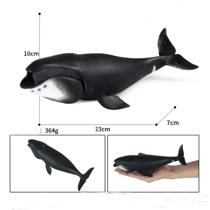 Simulazione Marine Life Model Toy Bowhead Whale Shark educazione della prima infanzia decorazione della bambola cognitiva fatta a mano per i bambini