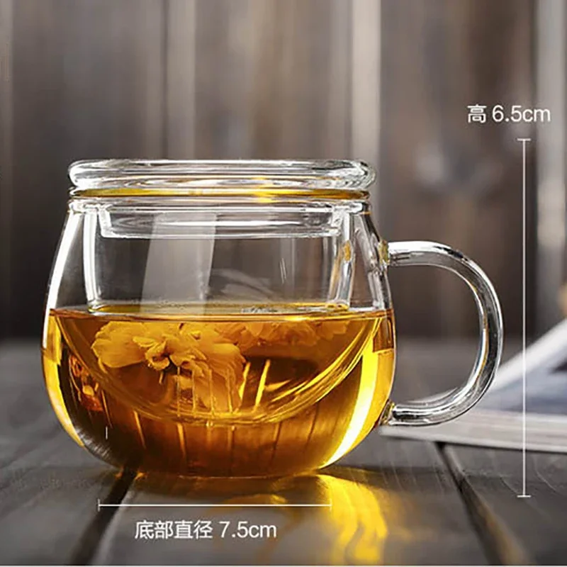 Transparent Glass Tea Cup with Lid, Infuser Filter, Heat Resistant Handle, Borosilicate Drinkware, Drinking, Milk, Coffee