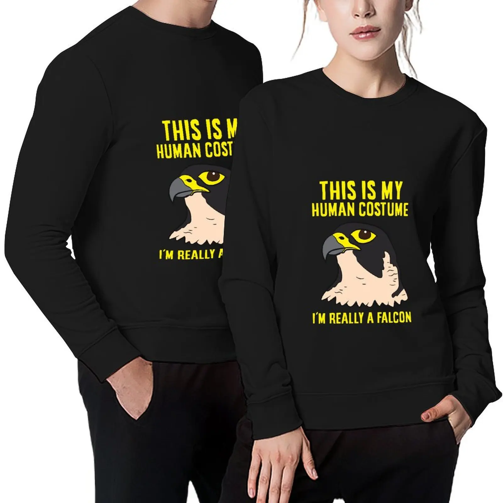 

This Is My Human Costume I'm Really A Falcon Bird Pullover autumn jacket men autumn clothes autumn men's winter sweater hoody